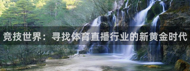 鲸鱼体育tv：竞技世界：寻找体育直播行业的新黄金时代