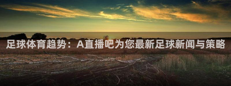 鲸鱼足球直播：足球体育趋势：A直播吧为您最新足球新闻与策略
