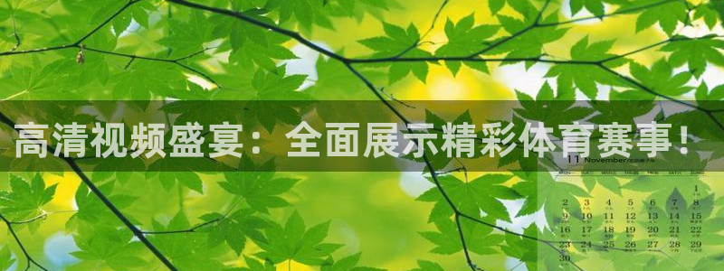 鲸鱼体育免费观看入口：高清视频盛宴：全面展示精彩体育赛事！