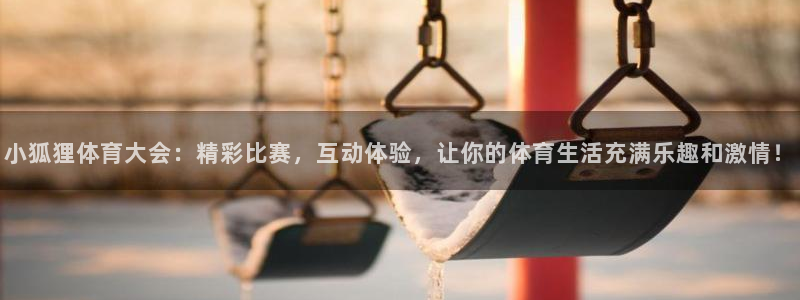 鲸鱼体育直播app官网下载：小狐狸体育大会：精彩比赛，互动体验，让你的体育生活充满乐趣和激情！