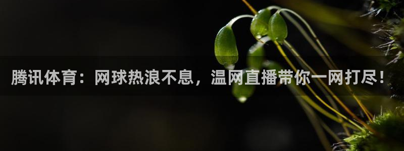 鲸鱼体育直播下载最新版：腾讯体育：网球热浪不息，温网直播带你一网打尽！