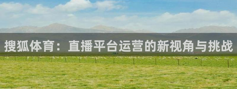 蓝鲸鱼直播app：搜狐体育：直播平台运营的新视角与挑战