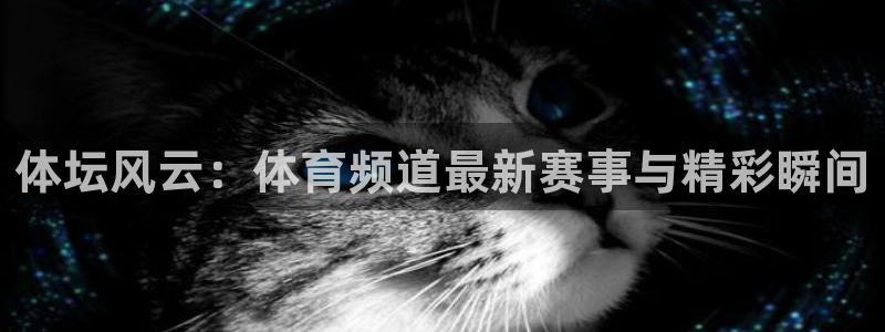 鲸鱼体育比赛直播：体坛风云：体育频道最新赛事与精彩瞬间