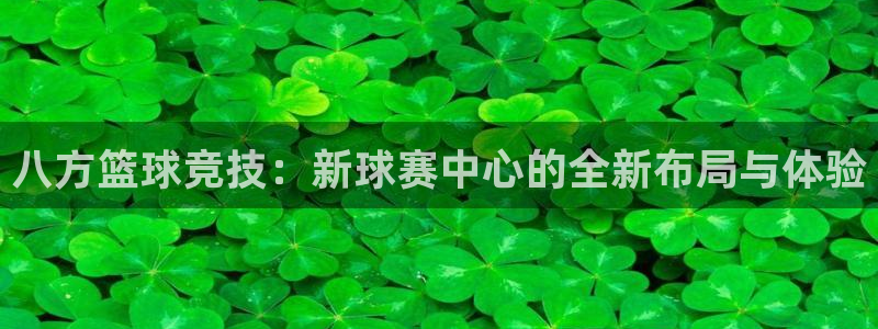 鲸鱼体育比赛直播：八方篮球竞技：新球赛中心的全新布局与体验