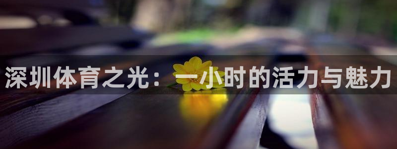 jytv鲸鱼体育：深圳体育之光：一小时的活力与魅力