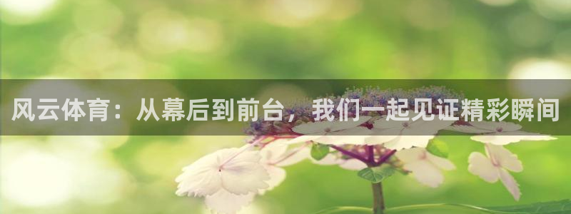 鲸鱼直播足球：风云体育：从幕后到前台，我们一起见证精彩瞬间